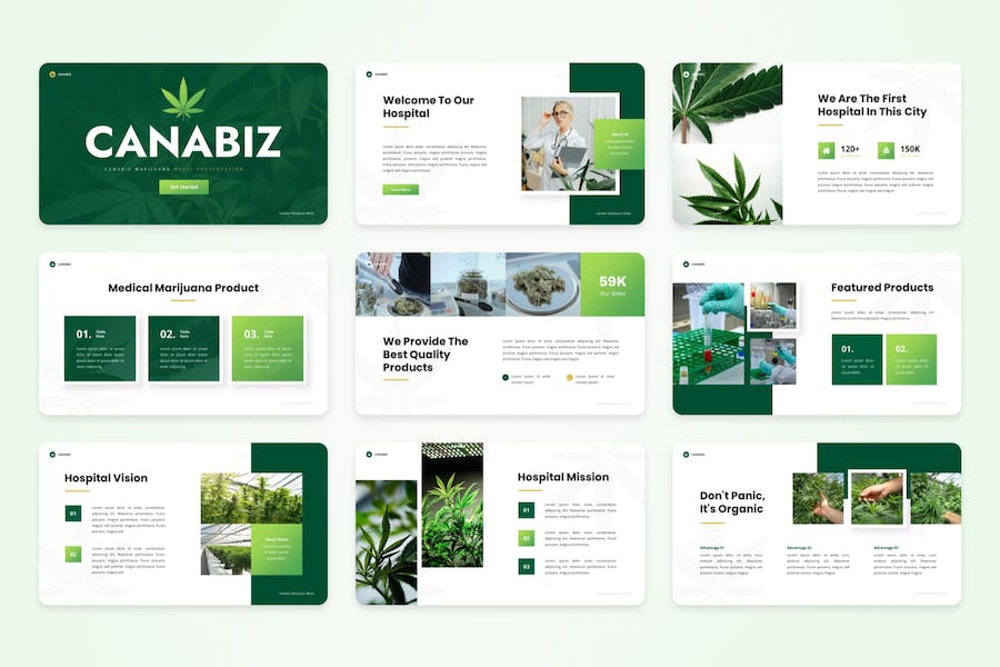 医疗医用植物药用健康知识普及PPT模板 - PPT派 医疗医用植物药用健康知识普及PPT模板 - PPT派