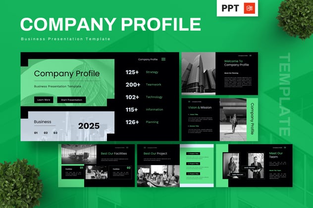 企业公司简介品牌宣传商务方案PPT模板 - PPT派