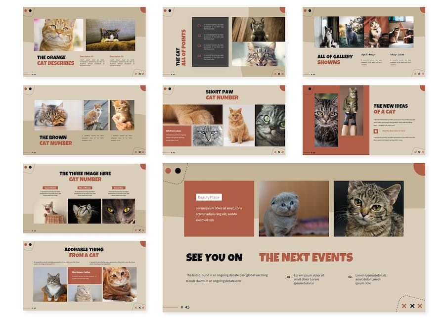 领养猫咪公益活动品牌Keynote模板 - PPT派 领养猫咪公益活动品牌Keynote模板 - PPT派
