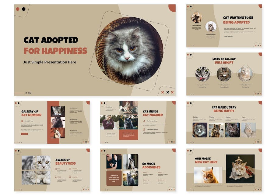 领养猫咪公益活动品牌Keynote模板 - PPT派 领养猫咪公益活动品牌Keynote模板 - PPT派