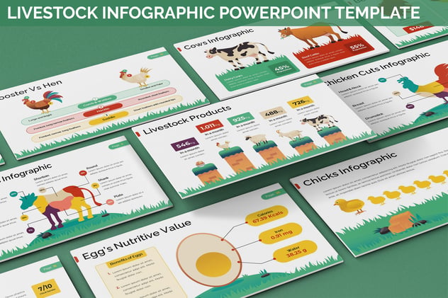 牲畜业信息图形Powerpoint模板 - PPT派