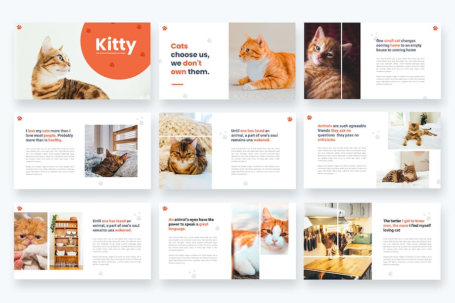 猫动物宠物Powerpoint模板 - PPT派 猫动物宠物Powerpoint模板 - PPT派