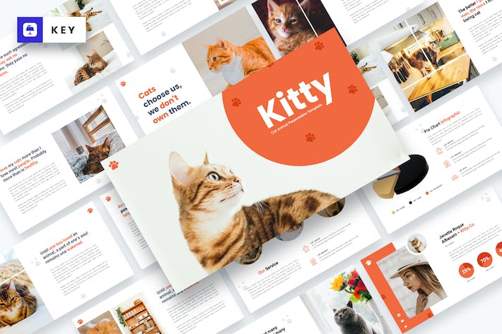宠物猫动物主题keynote模板 - PPT派