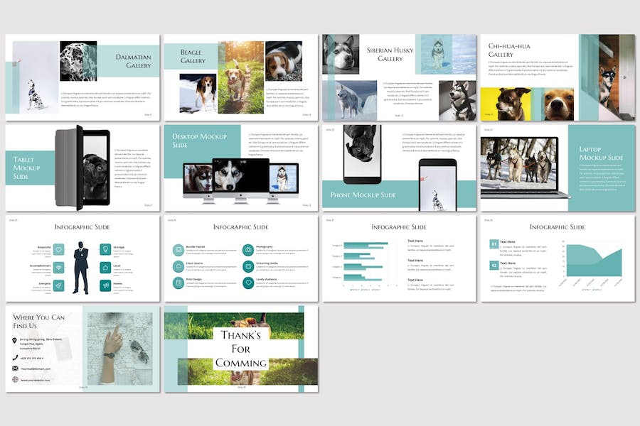 简约清新摄影作品集portfolio PPT模板 - PPT派 简约清新摄影作品集portfolio PPT模板 - PPT派
